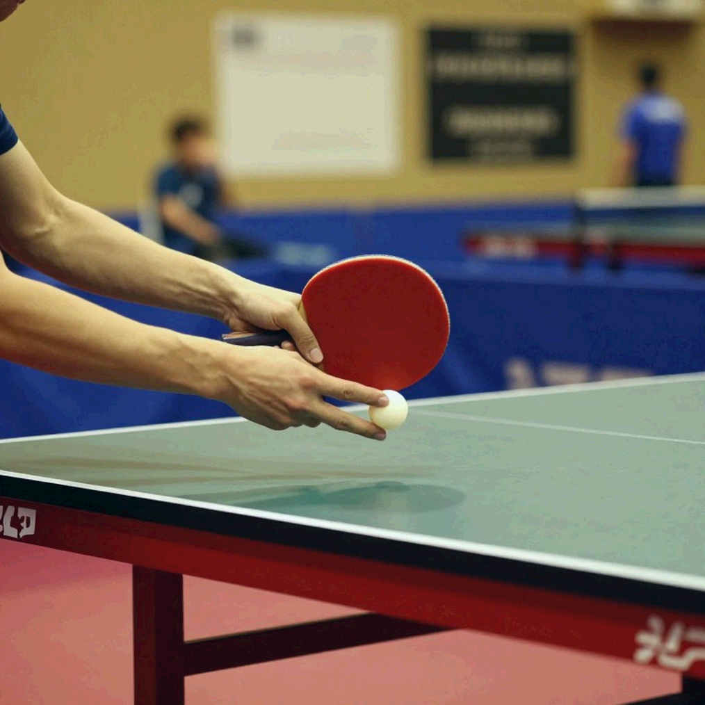 Tiếng ồn kỳ chuyển nhượng và lớp trầm tích U-18: Định giá tài năng trẻ bóng bàn Nhật Bản bằng dữ liệu