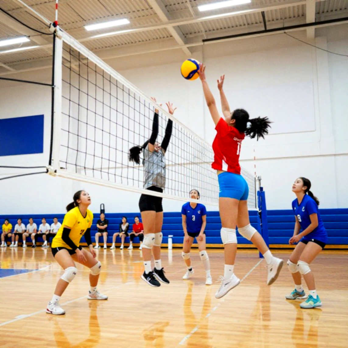 Phân Tích Chuyên Sâu Bóng Chuyền: Khi Dữ Liệu Đầu Vào Rỗng và Bài Học Về Quy Trình Xử Lý Thông Tin Thể Thao